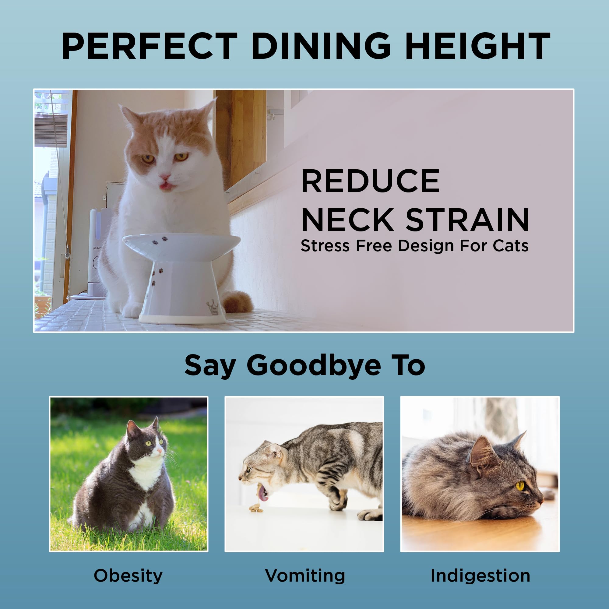 Microwave-safe NECOICHI ceramic is convenient for reheating meals