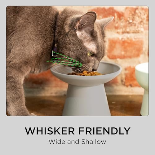 Necoichi non-slip base keeps bowls steady during mealtime.