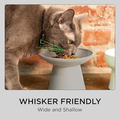Necoichi non-slip base keeps bowls steady during mealtime.