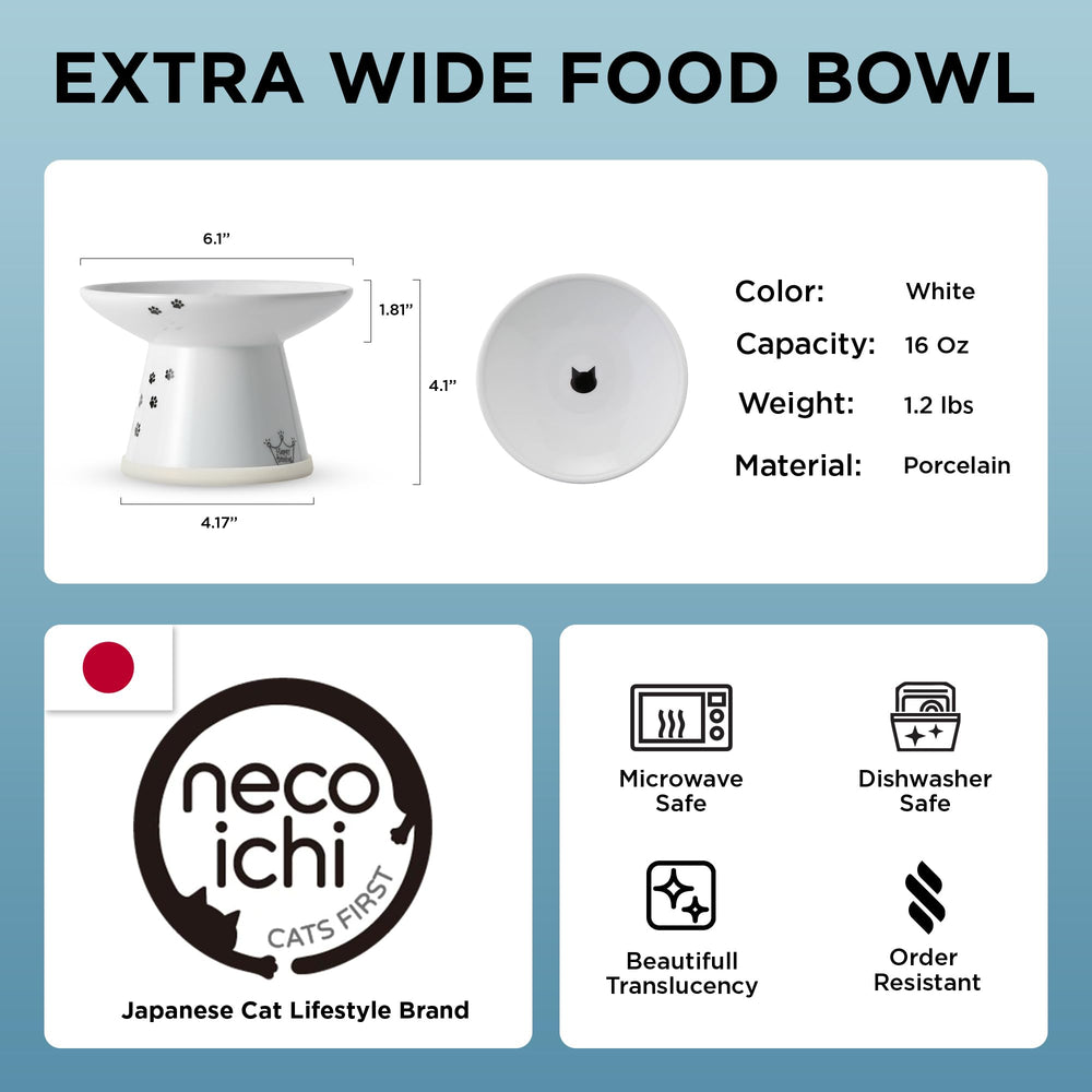 NECOICHI porcelain bowl detail highlights safe lead-free ceramic material