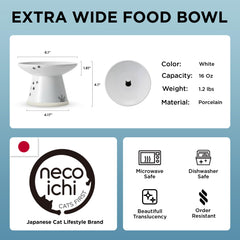 NECOICHI porcelain bowl detail highlights safe lead-free ceramic material
