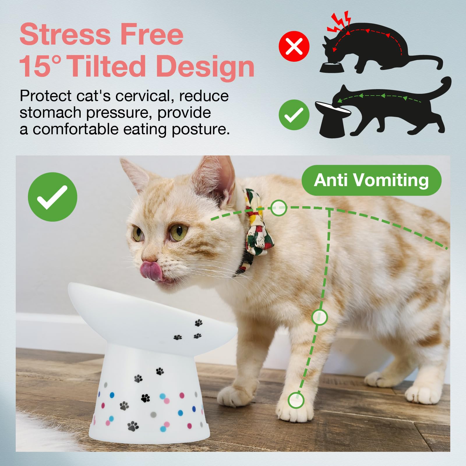 Necoichi raised cat bowl non-slip ring keeps bowls steady for mess-free feeding.