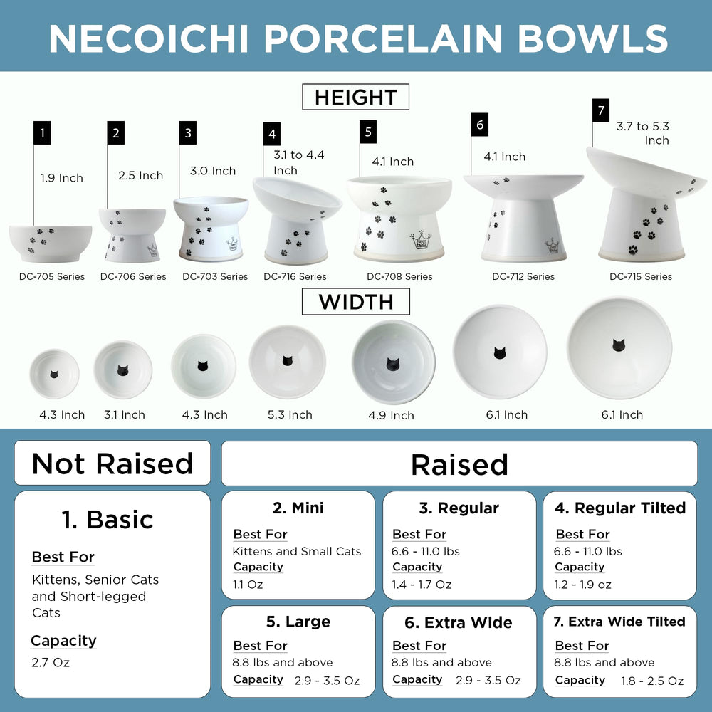 NECOICHI raised bowl with non-slip ring prevents tipping during meals.