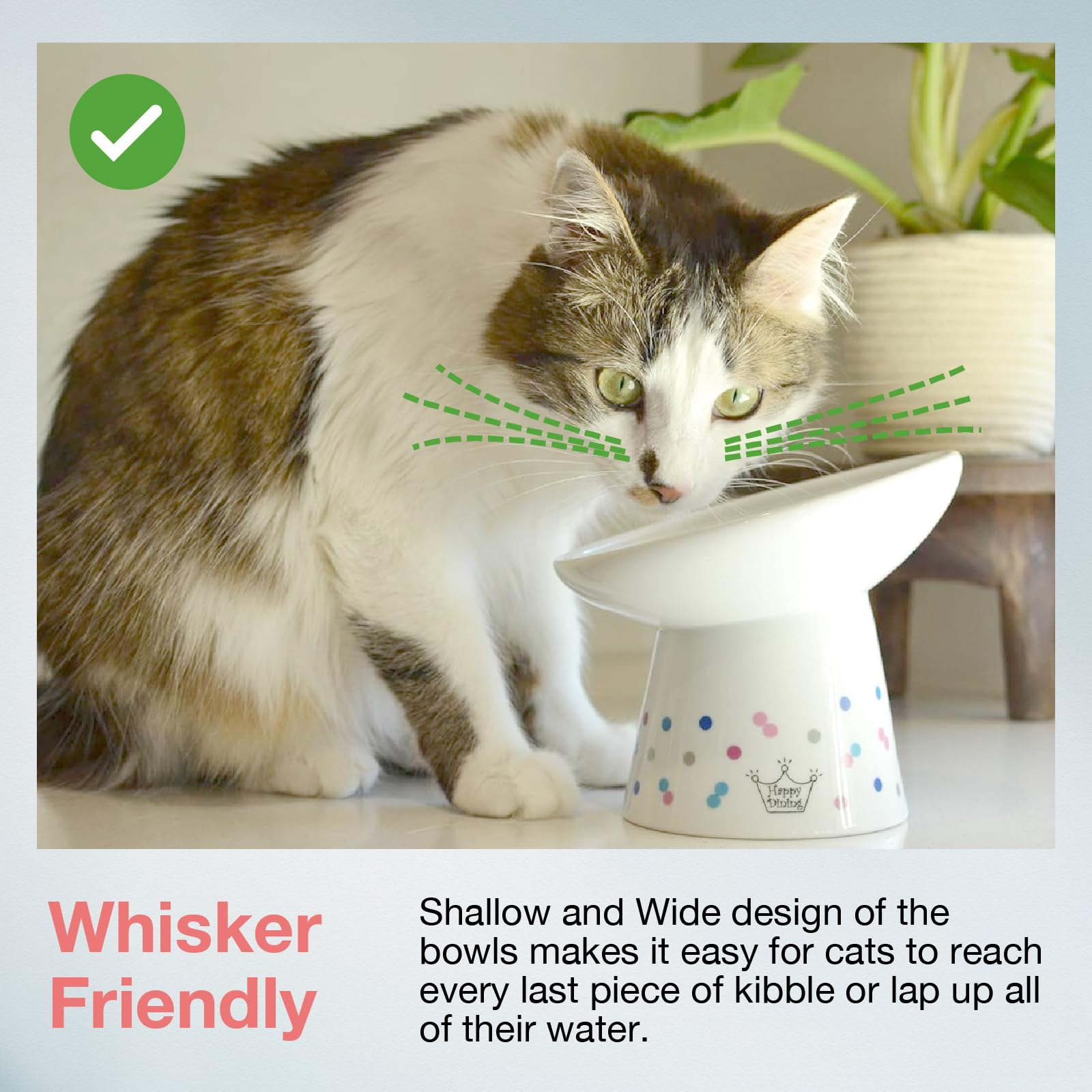 Necoichi raised cat bowl porcelain ceramic material emphasizes durability and safety.