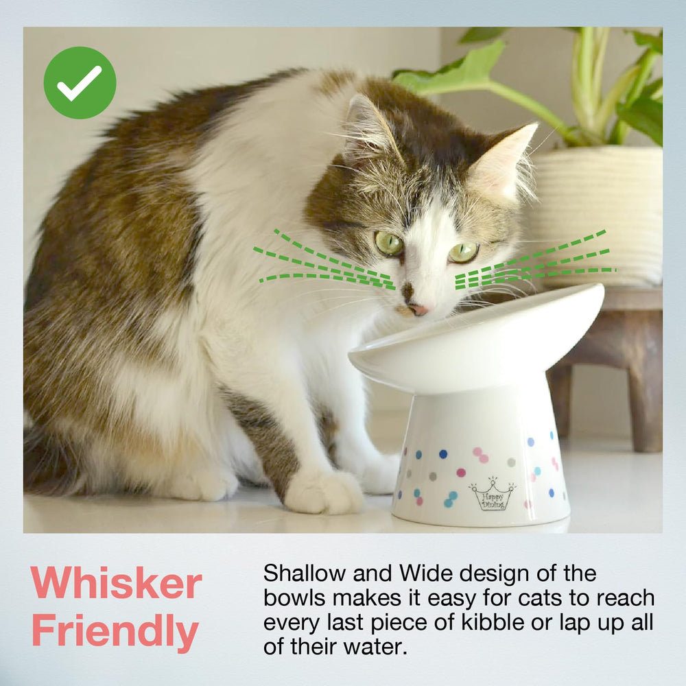 Necoichi raised cat bowl porcelain ceramic material emphasizes durability and safety.
