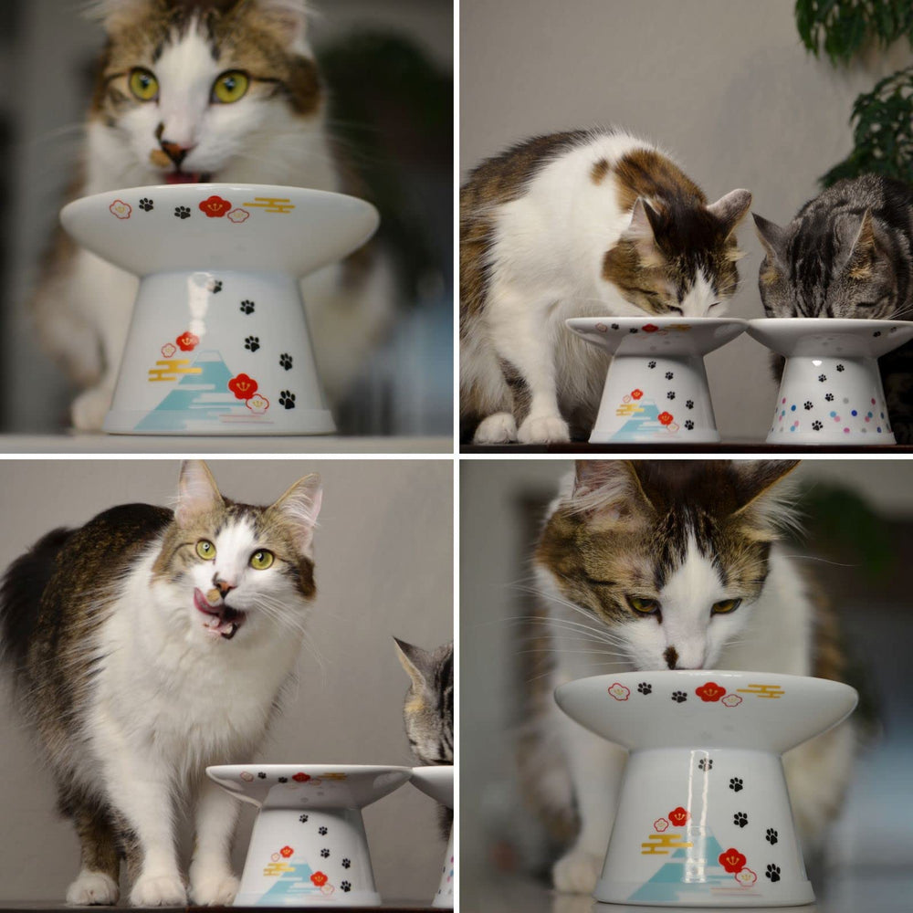 NECOICHI raised cat bowl side profile emphasizing ergonomic height