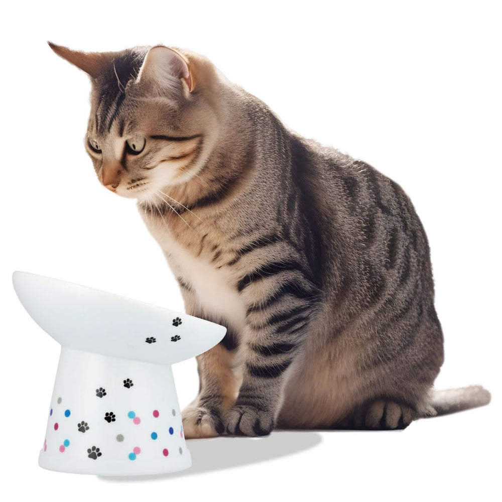 Necoichi raised cat bowl tilt highlights ergonomic comfort during meals.