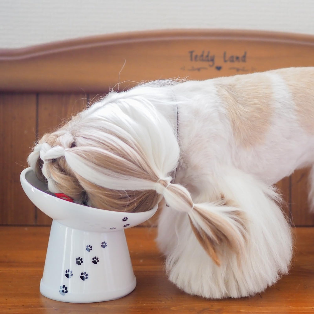Necoichi raised cat eating tilt bowl promotes comfortable cat meals