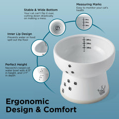 NECOICHI raised cat water bowl is dishwasher-safe porcelain for easy cleaning