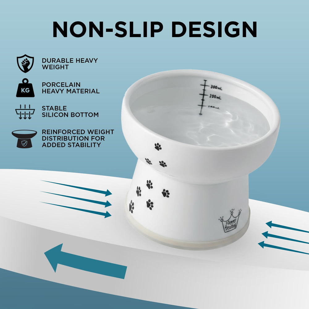 NECOICHI raised cat water bowl inner lip prevents water from spilling