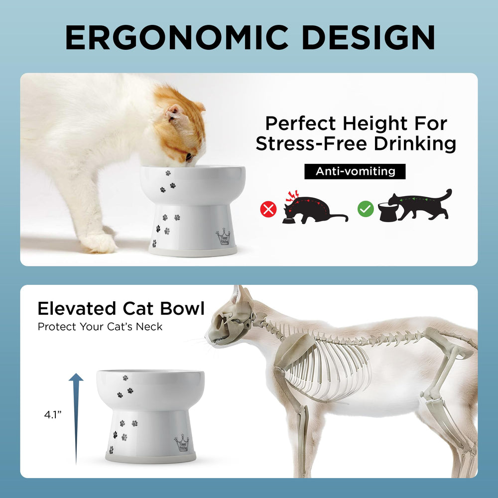 NECOICHI raised cat water bowl is microwave-safe porcelain for quick reheating
