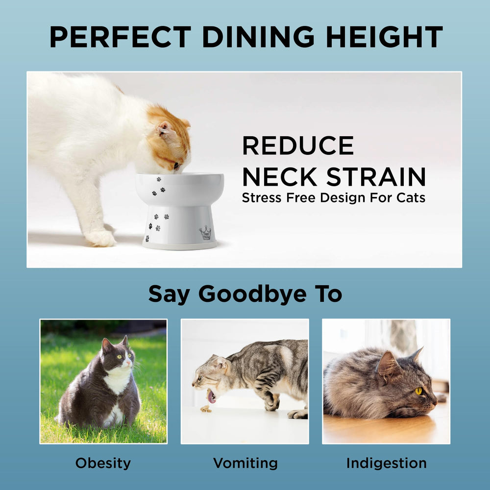 NECOICHI raised cat water bowl features non-slip ring for spill resistance