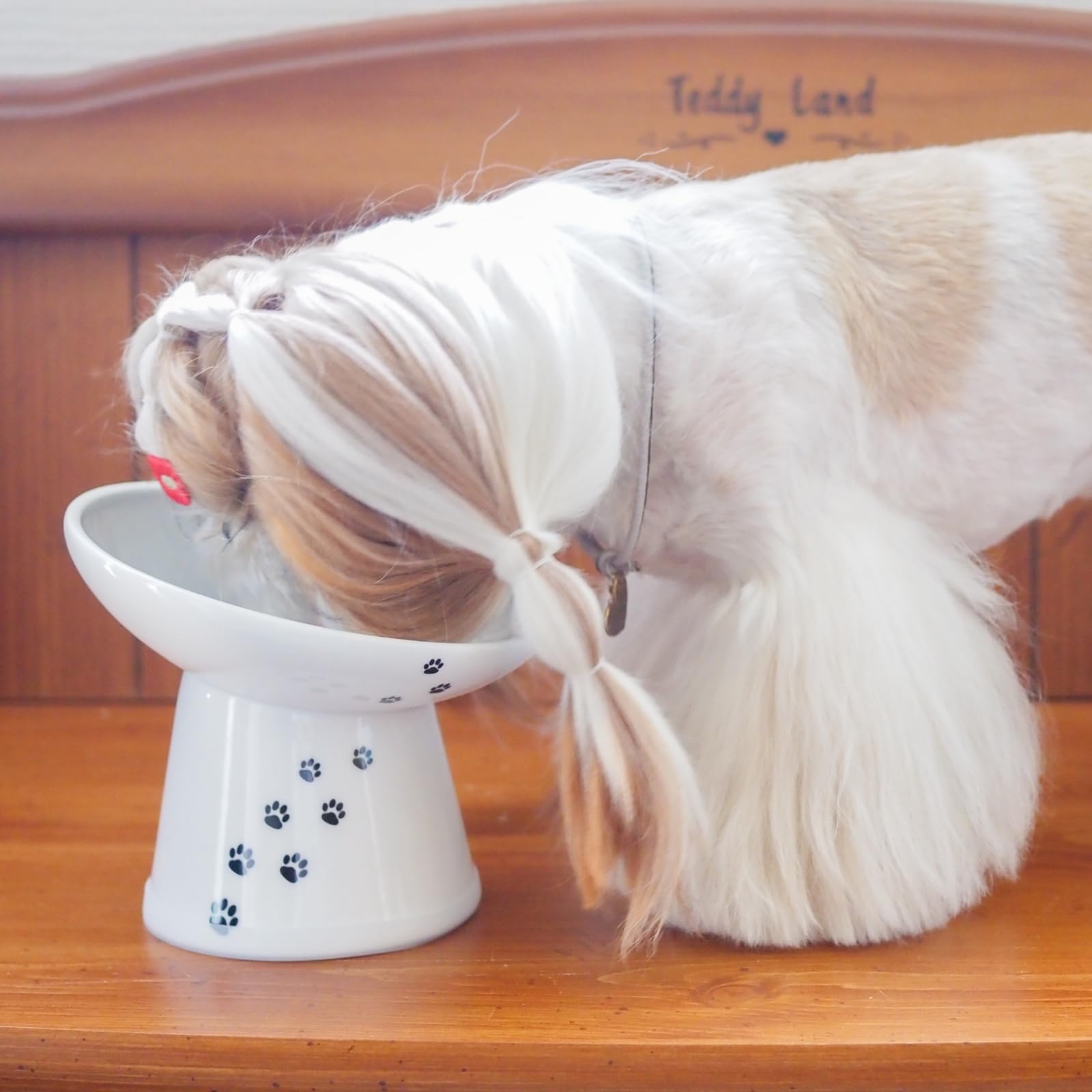 Necoichi raised dog food bowl dishwasher-safe easy cleanup after meals