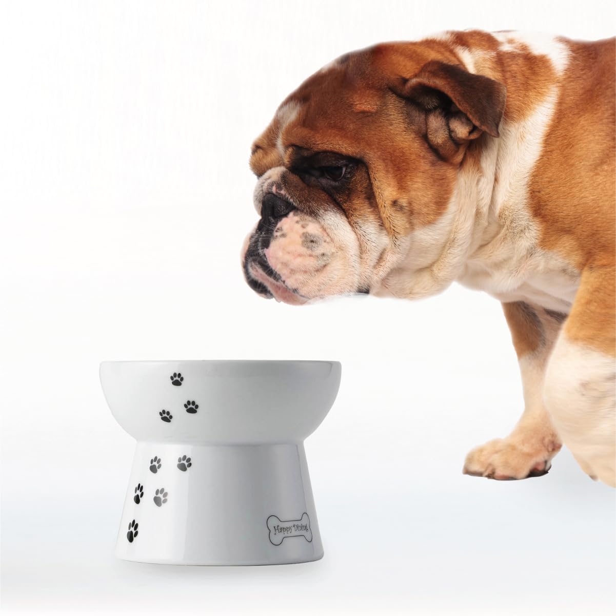 NECOICHI raised dog food bowl stand for neck-friendly feeding