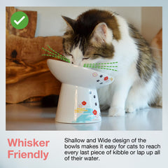 NECOICHI tilted mealtime bowl reduces whisker contact during meals