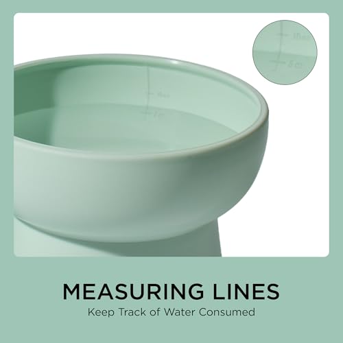 Necoichi wide base and non-slip pad keep bowls steady