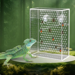 Neeenn bearded dragon feeder box inside tank shows secure insect access and clear viewing.