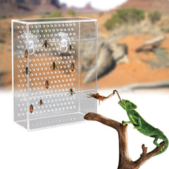 Neeenn reptile feeder bottom holes encourage insects to climb, easing capture for reptiles.