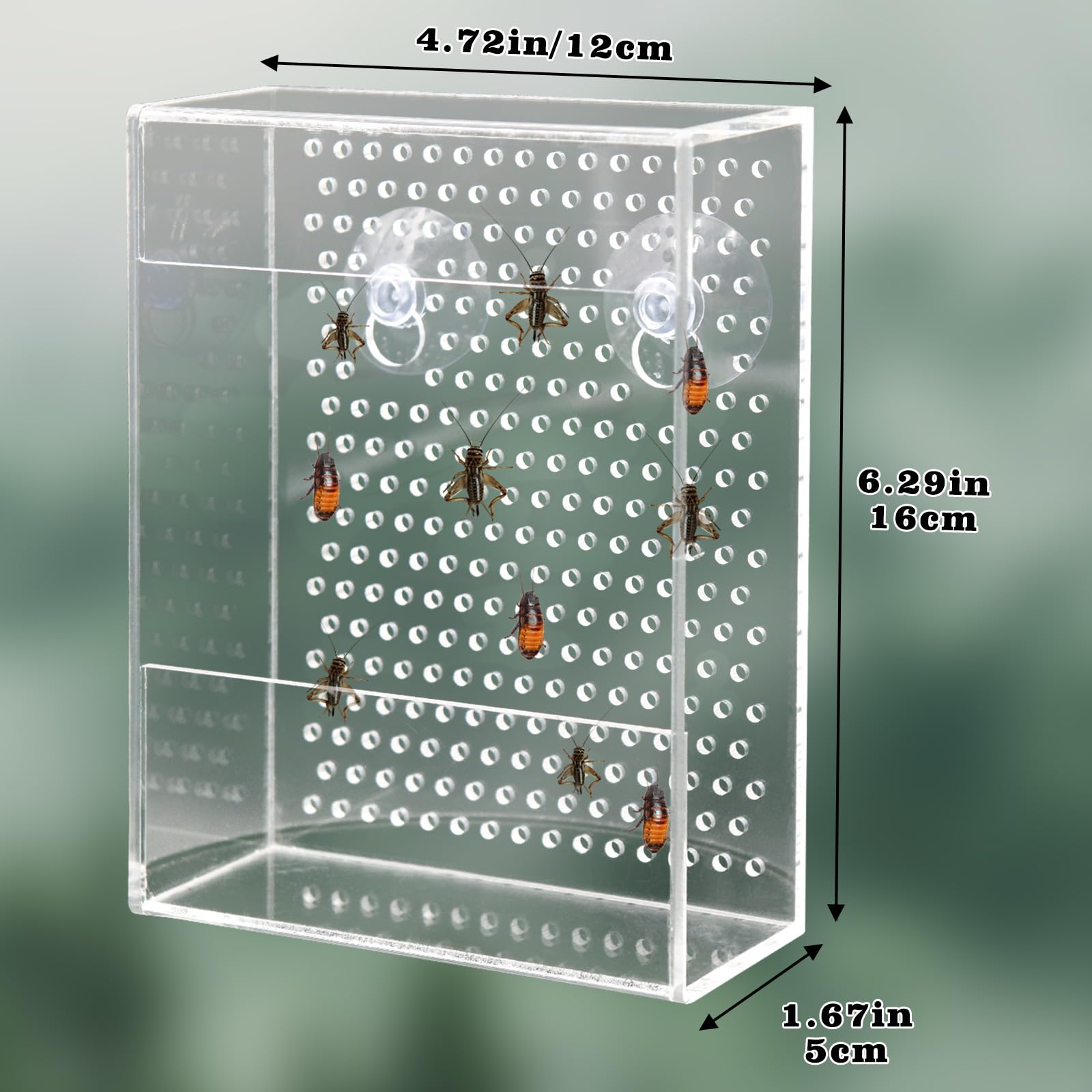 Neeenn reptile feeder smooth surface makes cleaning simple and habitats safer.
