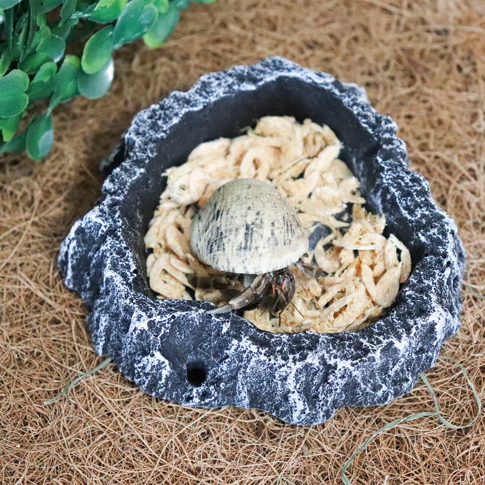 Neeenn reptile feeding dish with rock texture enhances tank decor and reliable water or food access