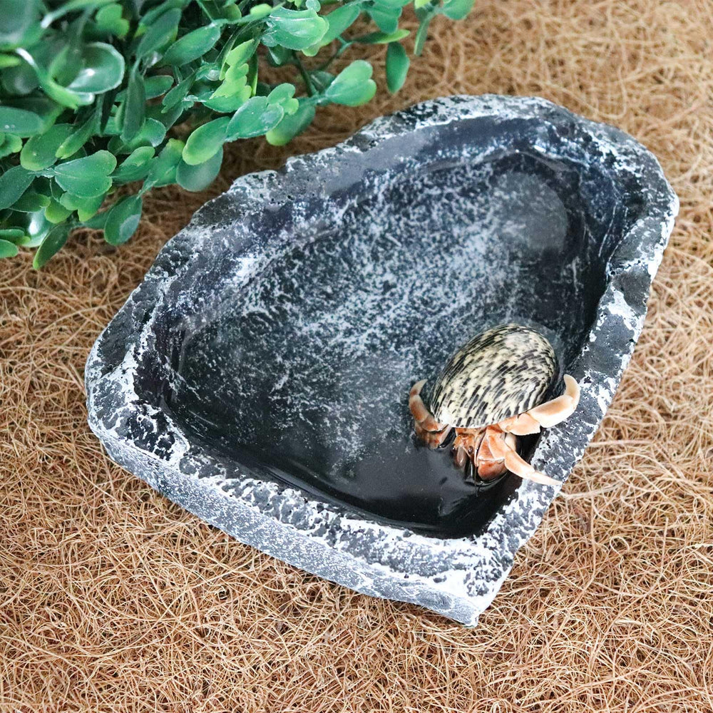 Neeenn resin hermit crab bowl showcases sturdy design and lifelike rock appearance for habitats