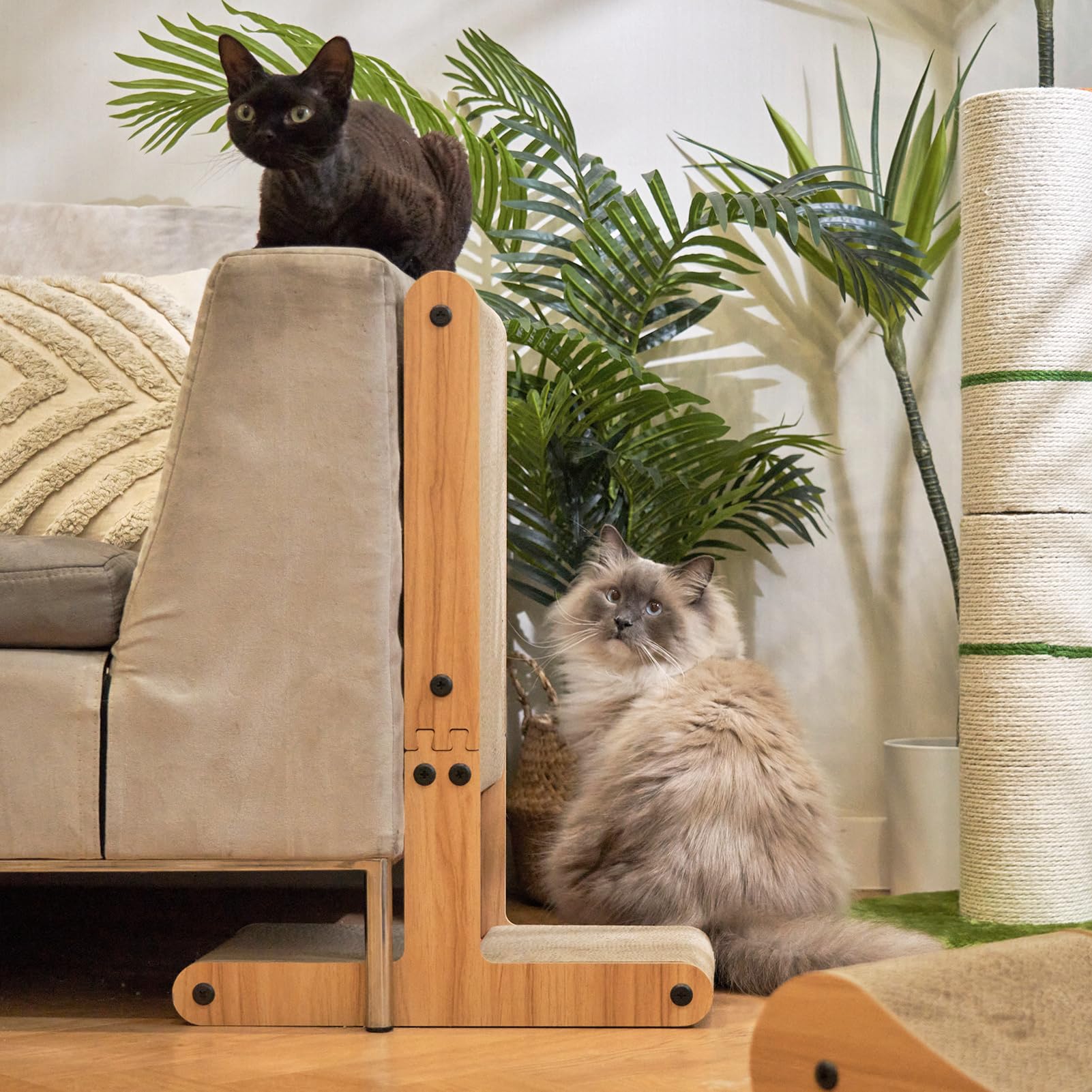 Nekosan Cat Ball Toy feature provides interactive play and enrichment