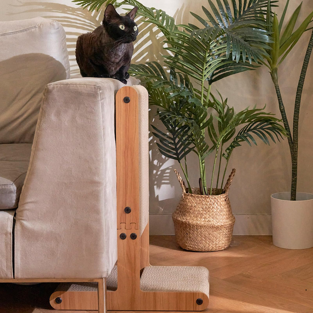 Nekosan Large 23.6x16.9x9.6 inch size suits bigger rooms and cats