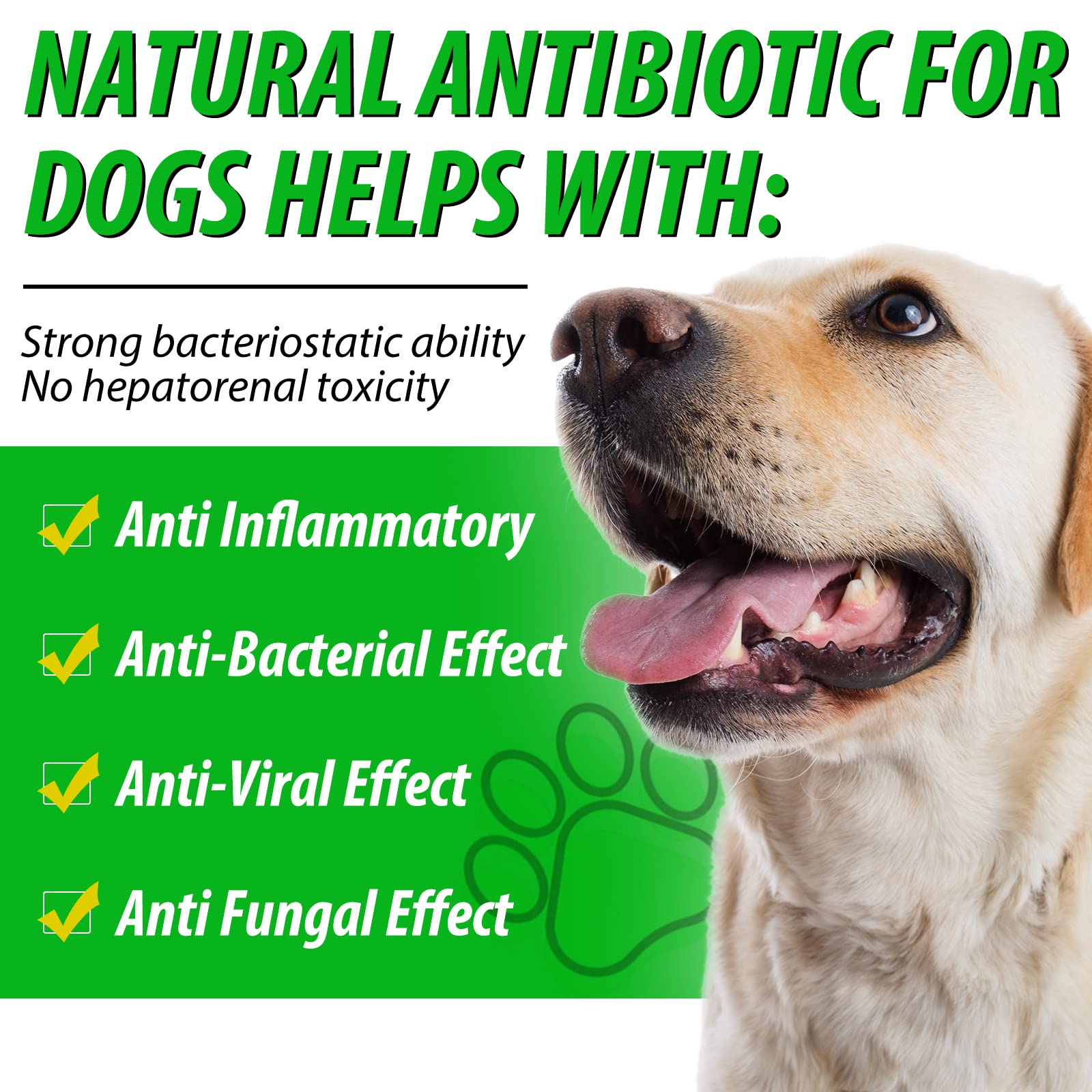NenMaoKeNu natural dog antibiotics daily-use setup for convenient care.