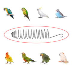 NentMent foraging feeder fixed food minimizes mess during meals