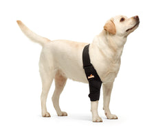 NeoAlly dog elbow brace front view for secure elbow support during walking.