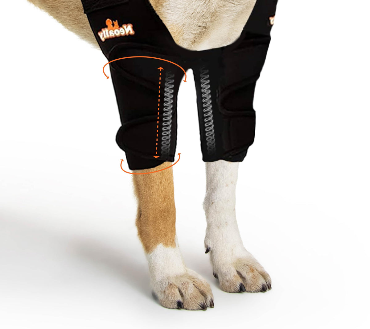 NeoAlly dog elbow brace pair view highlights joint support and comfort.