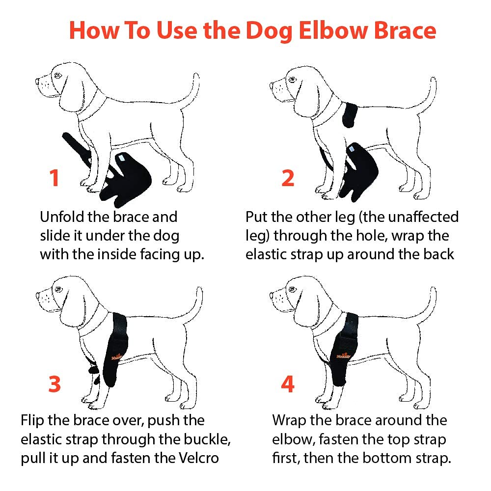 NeoAlly dog elbow brace worn during walk supports daily activity and comfort.