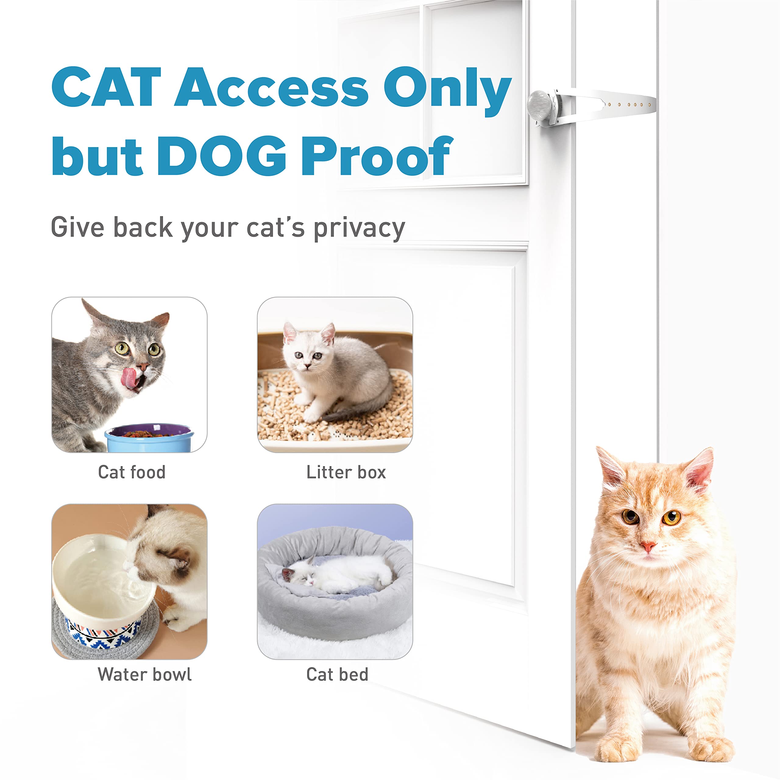 Neobay cat door latch in-use one-handed demonstrates quick access from both sides.