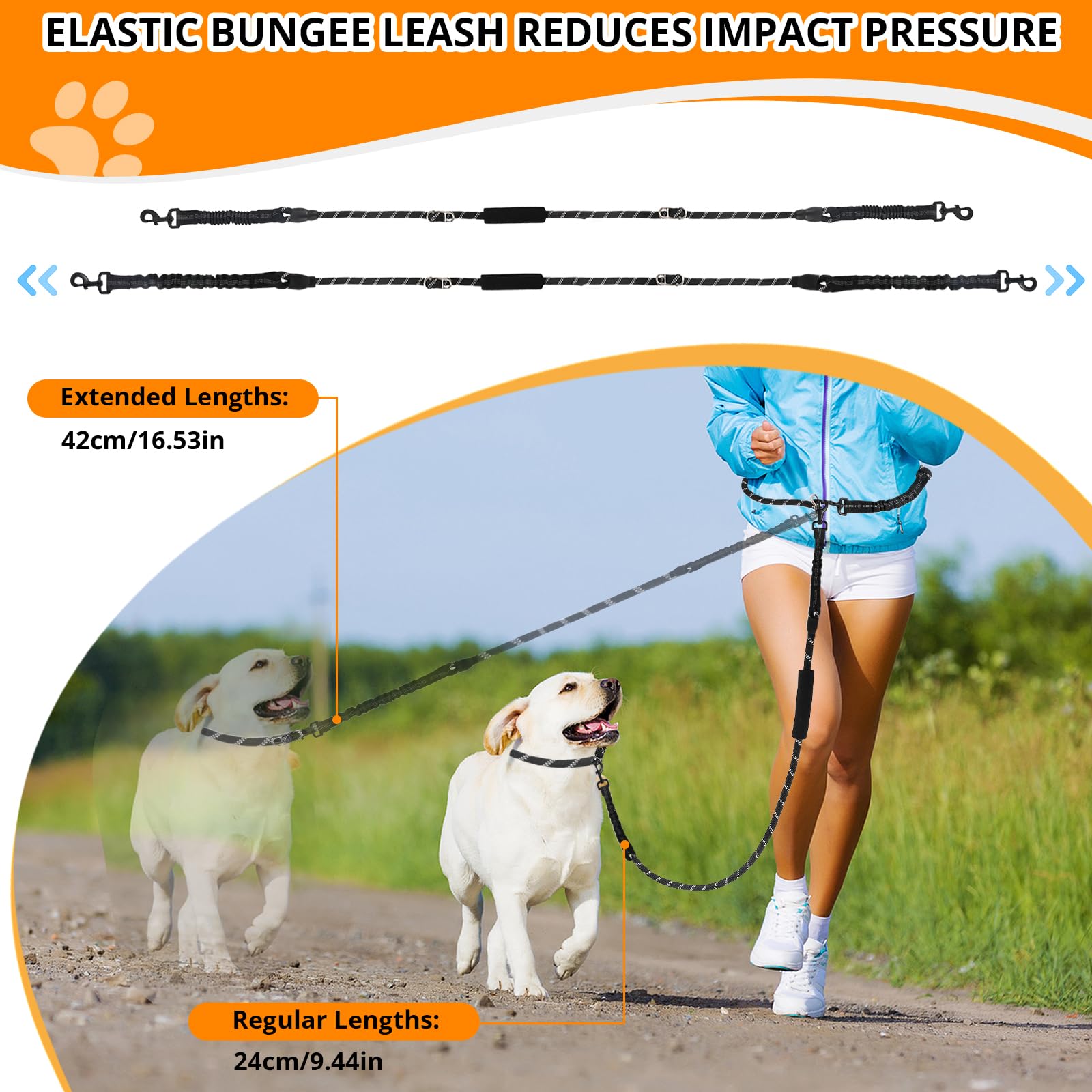 NEOGULY adaptable leash supports double-dog, training slip, or standard walking setups.