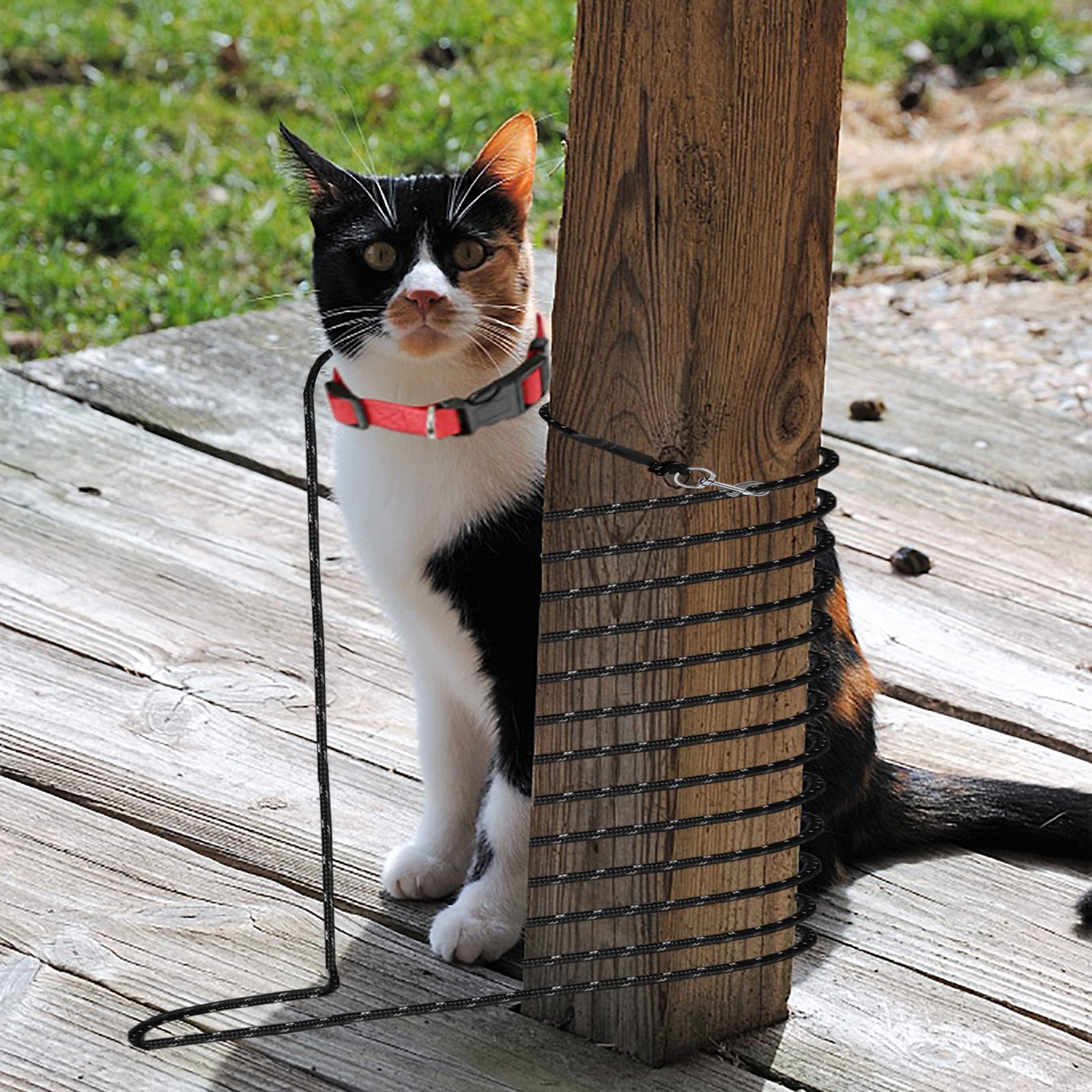 NEOGULY cat-leash-pet-social-walks supports friendly garden strolls with other pets.