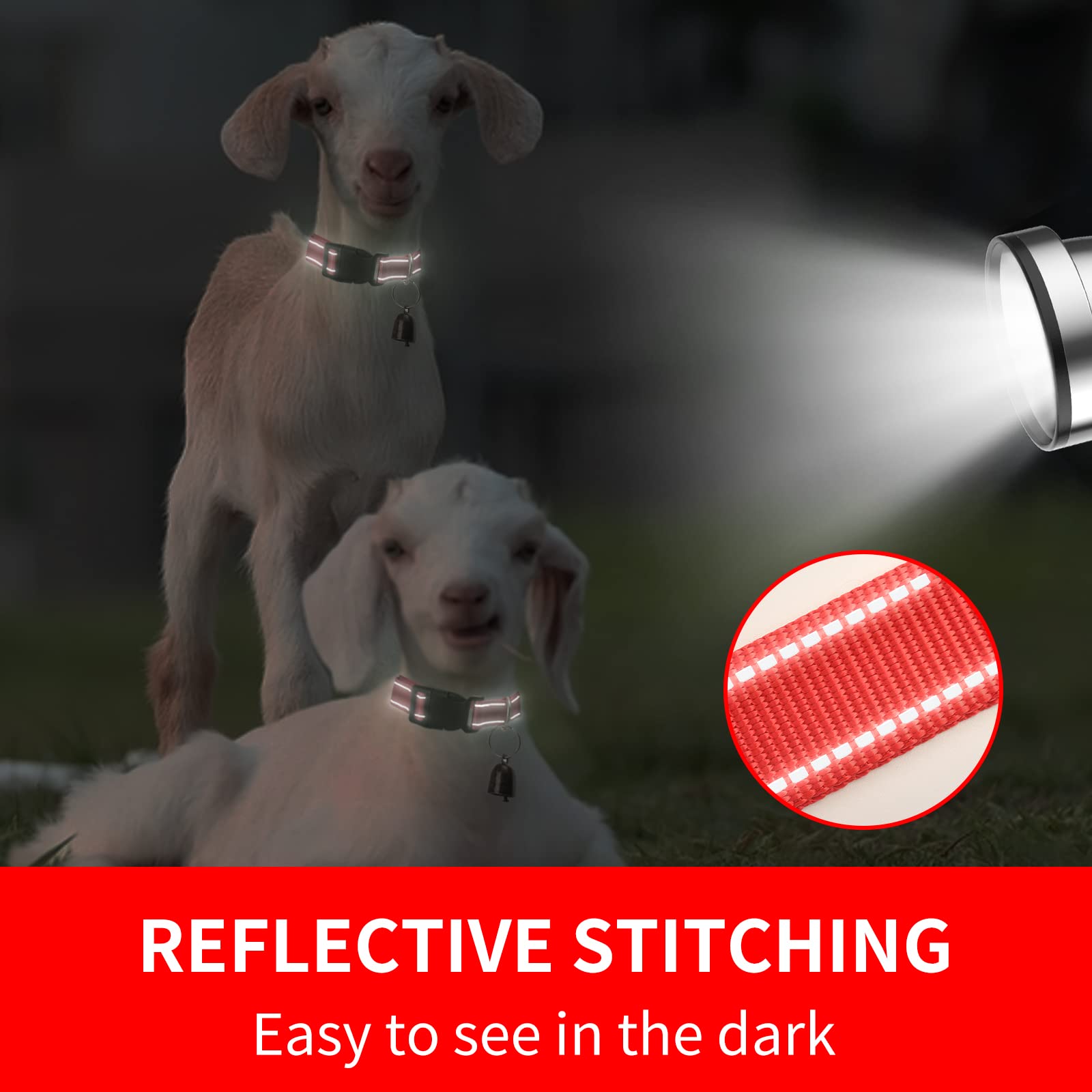 NEOGULY five-pack collars illustrates variety to distinguish multiple animals.