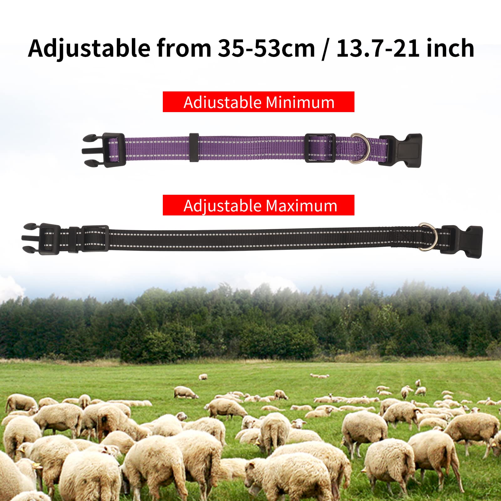 NEOGULY reflective nylon collar shows nighttime visibility for safe grazing.