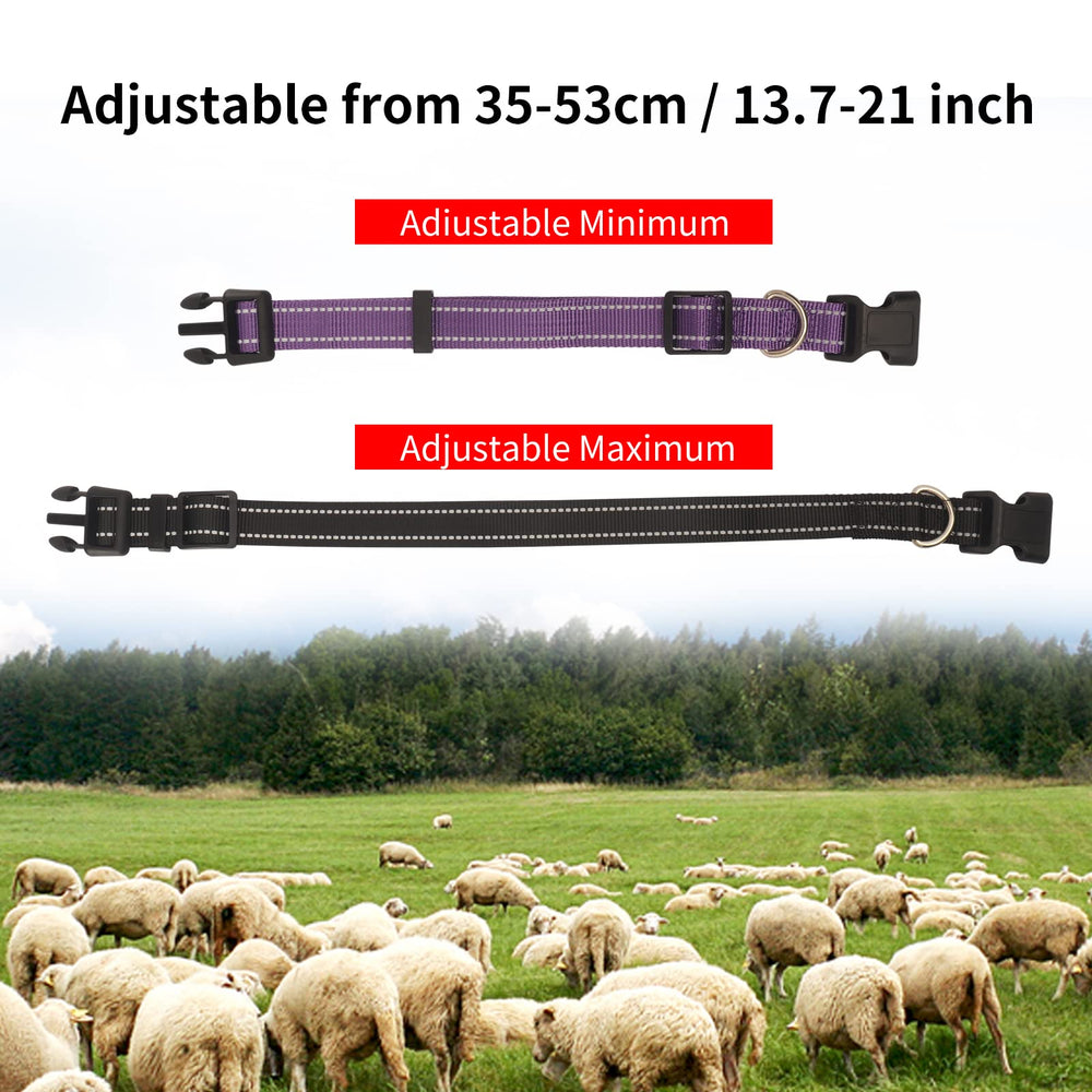 NEOGULY reflective nylon collar shows nighttime visibility for safe grazing.