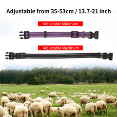 NEOGULY reflective nylon collar shows nighttime visibility for safe grazing.