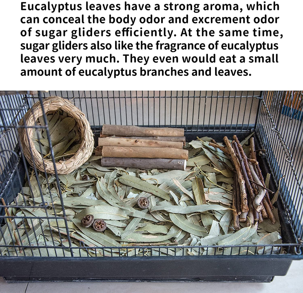 NEOUZA Dried eucalyptus leaves packaging with 200g leaves and 30g branch