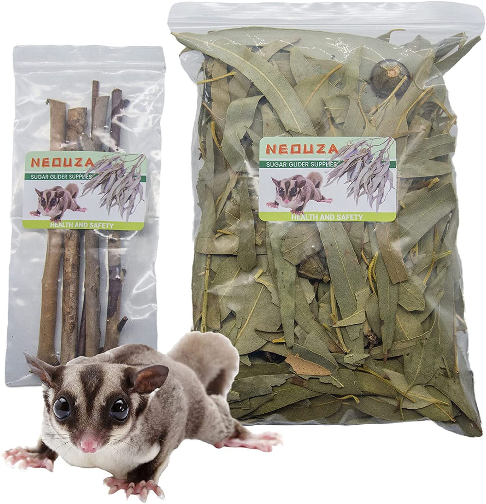 NEOUZA Sugar Glider bedding with eucalyptus leaves for natural habitat and chewing
