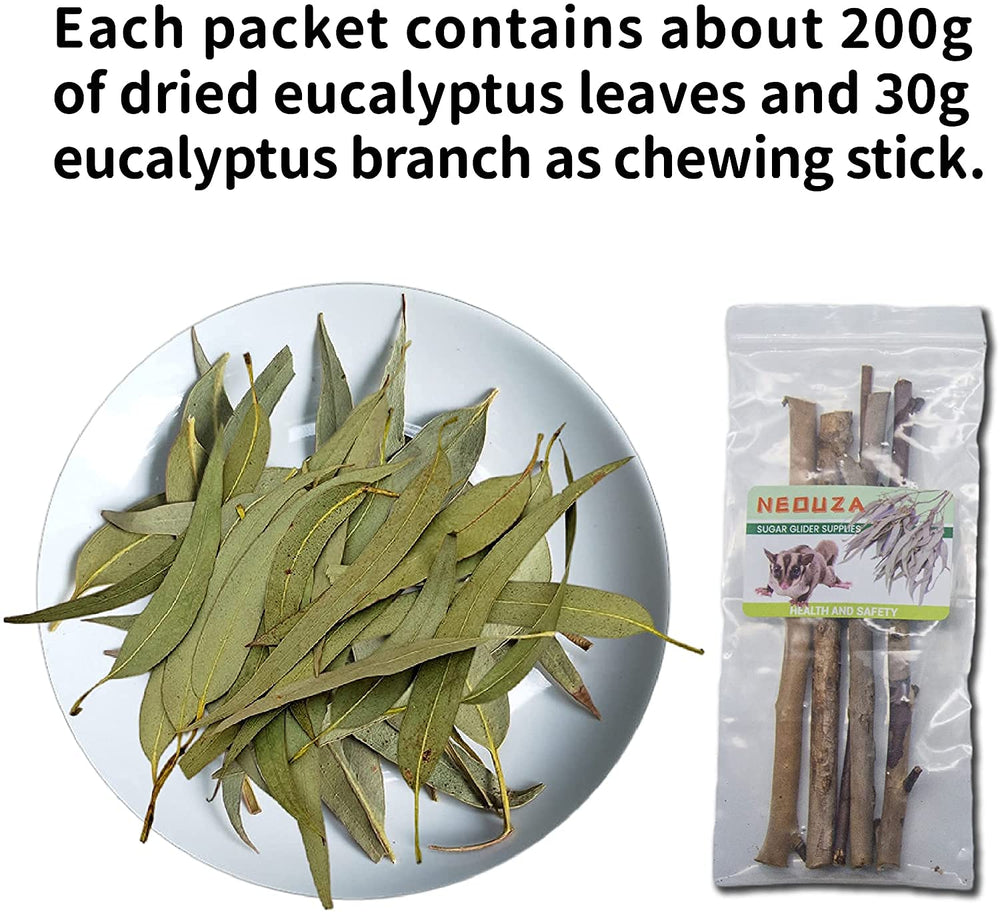 NEOUZA Sugar Glider chew treats with eucalyptus branch for gnawing