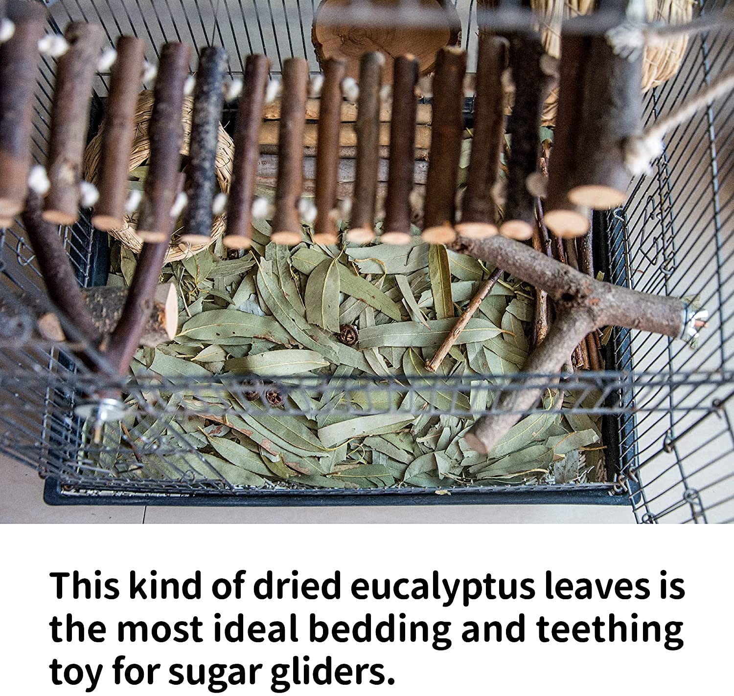NEOUZA Sugar Glider molar toys from eucalyptus leaves for play