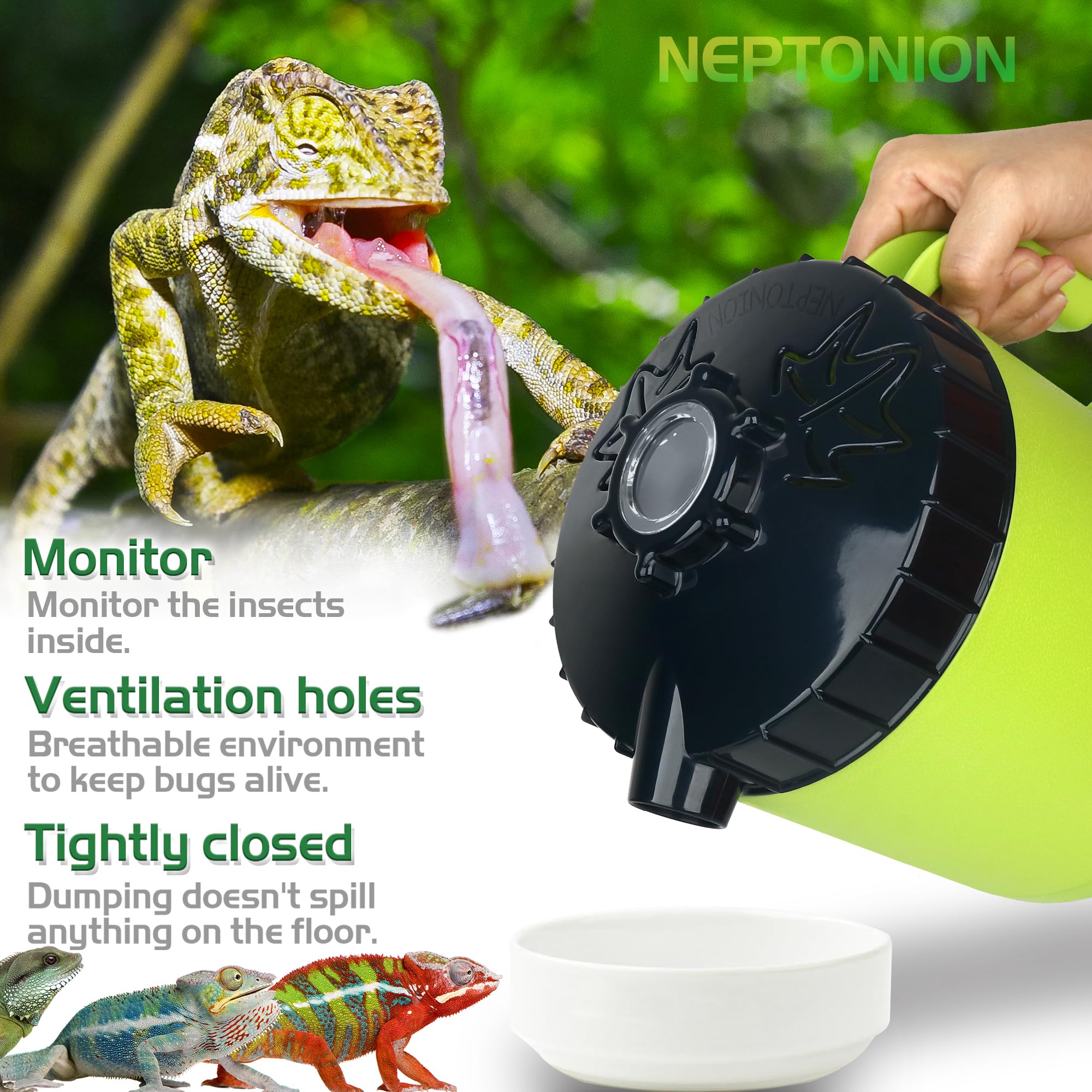 NEPTONION Cricket Keeper baffle plate offers cozy feeding space.