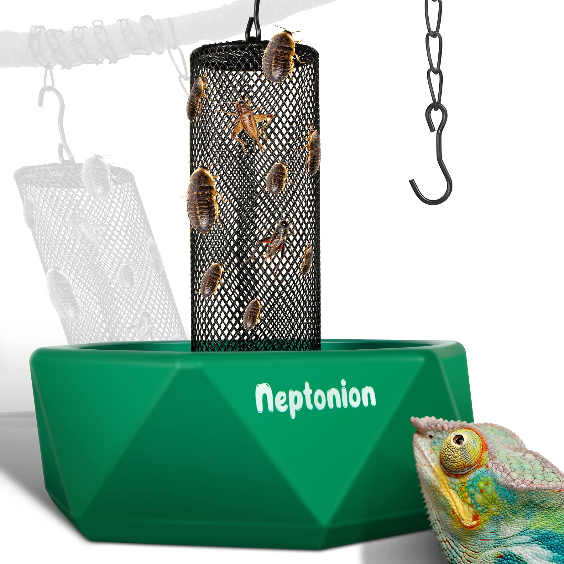 NEPTONION Hookable Chameleon Feeding Bowl assembly shows easy setup for live prey feeding.