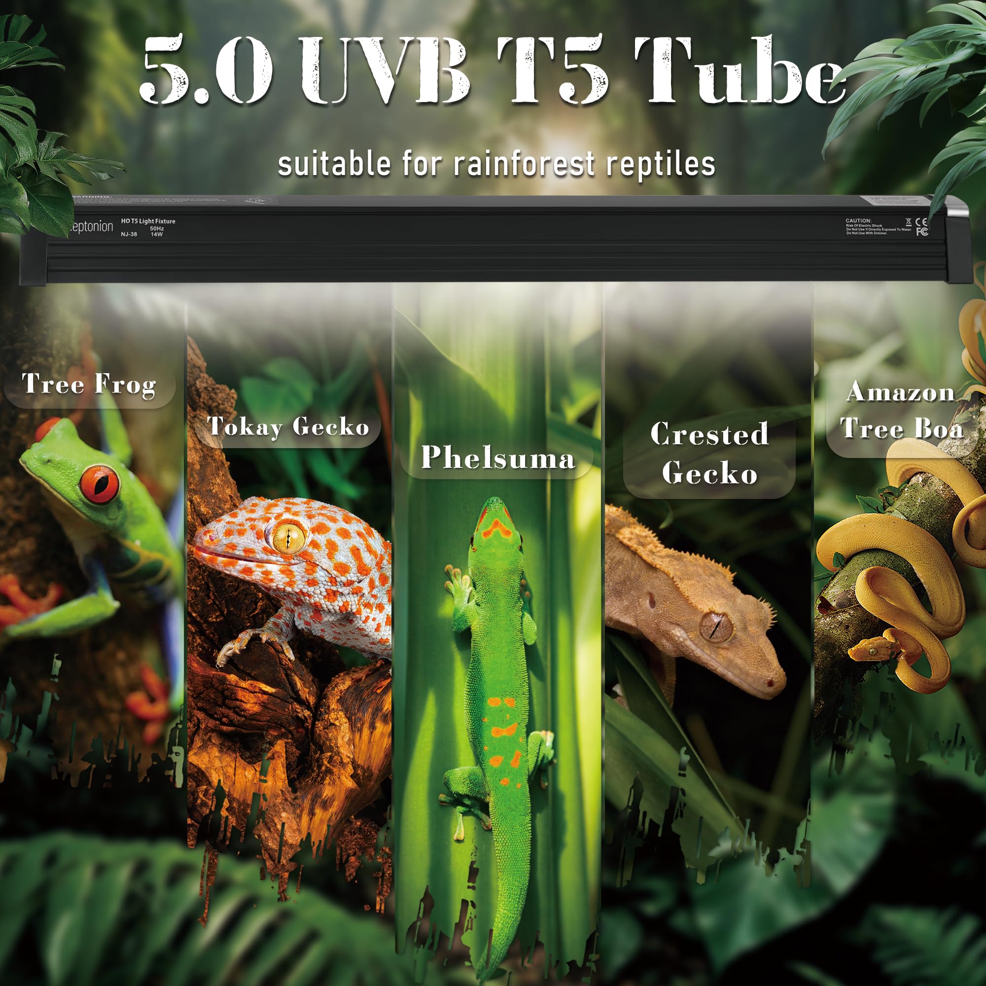NEPTONION T5 UVB light behind mesh for compact vivarium arrangement