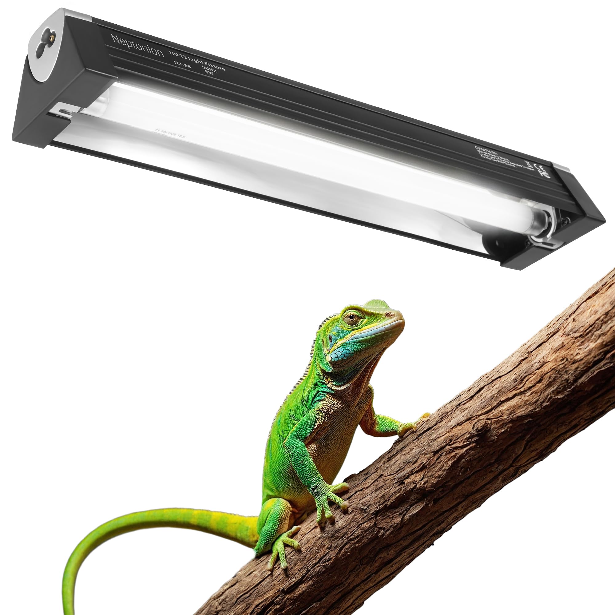 NEPTONION T5 UVB light front view for basking reptiles in a compact terrarium