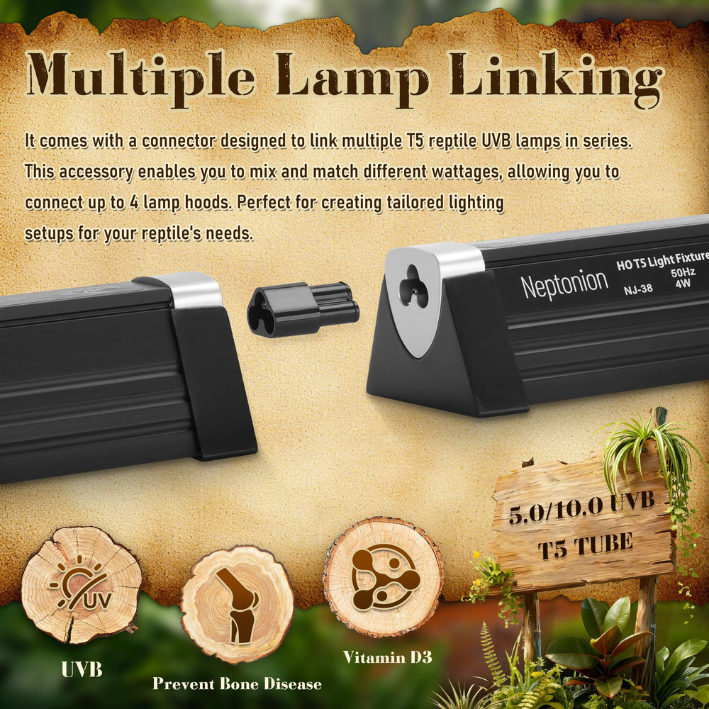 NEPTONION T5 UVB light terrarium installation example in bearded dragon setup