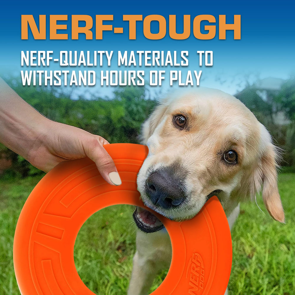 Nerf Dog Atomic Flyer orange disc during training session, supporting recall and tricks.