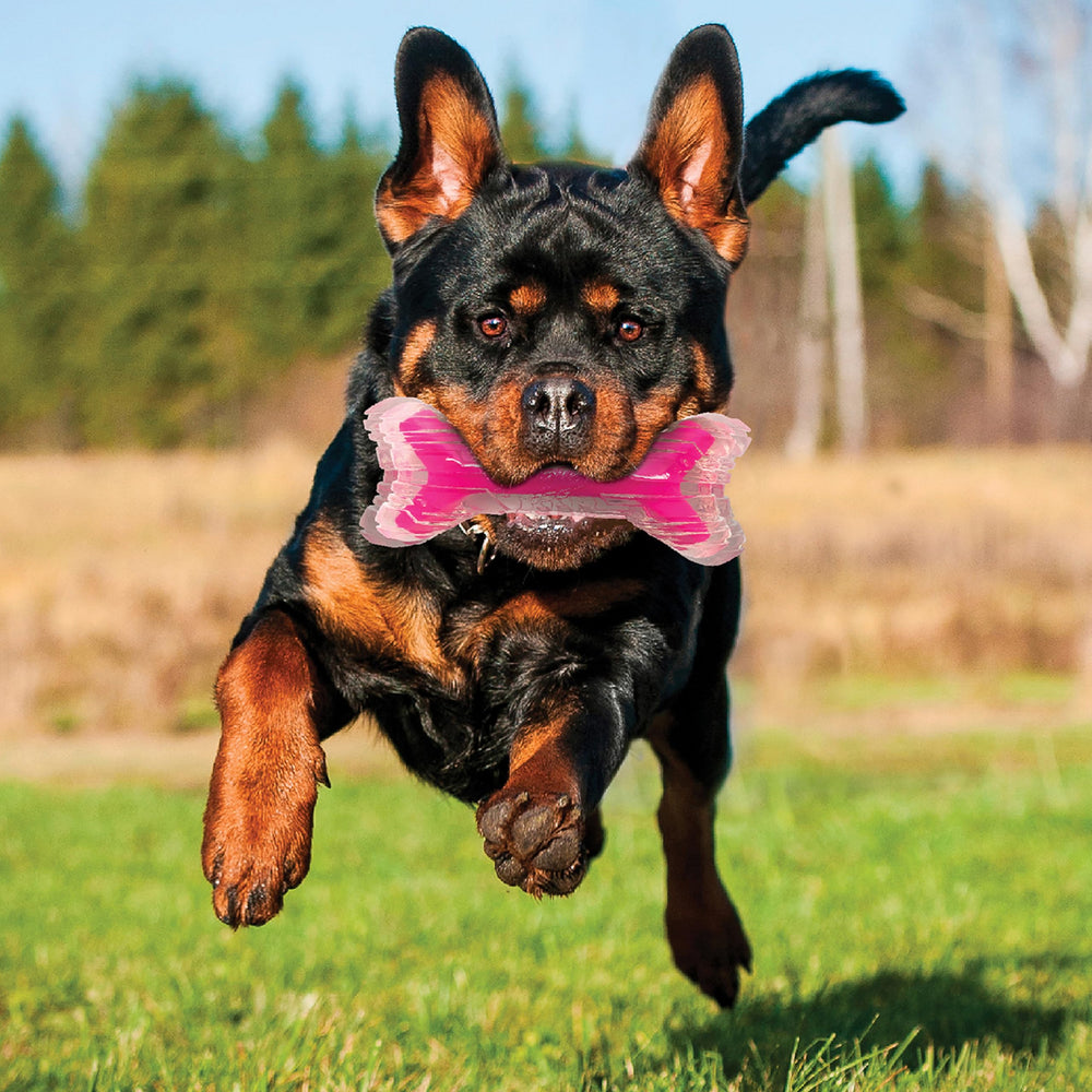 Nerf Dog bacon SuperScent bone solid core closeup enhances chewing durability